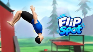 Flip Spot img
